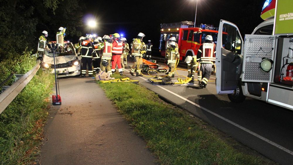 Stade: Taxi kollidiert mit zwei entlaufenen Pferden, Fahrer und Tiere tot