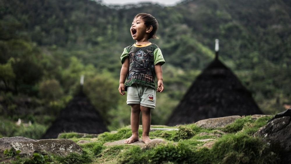 »Tropics & Traditions – Geschichten Indonesiens« von Manolo Ty: So vielfältig, so unbekannt