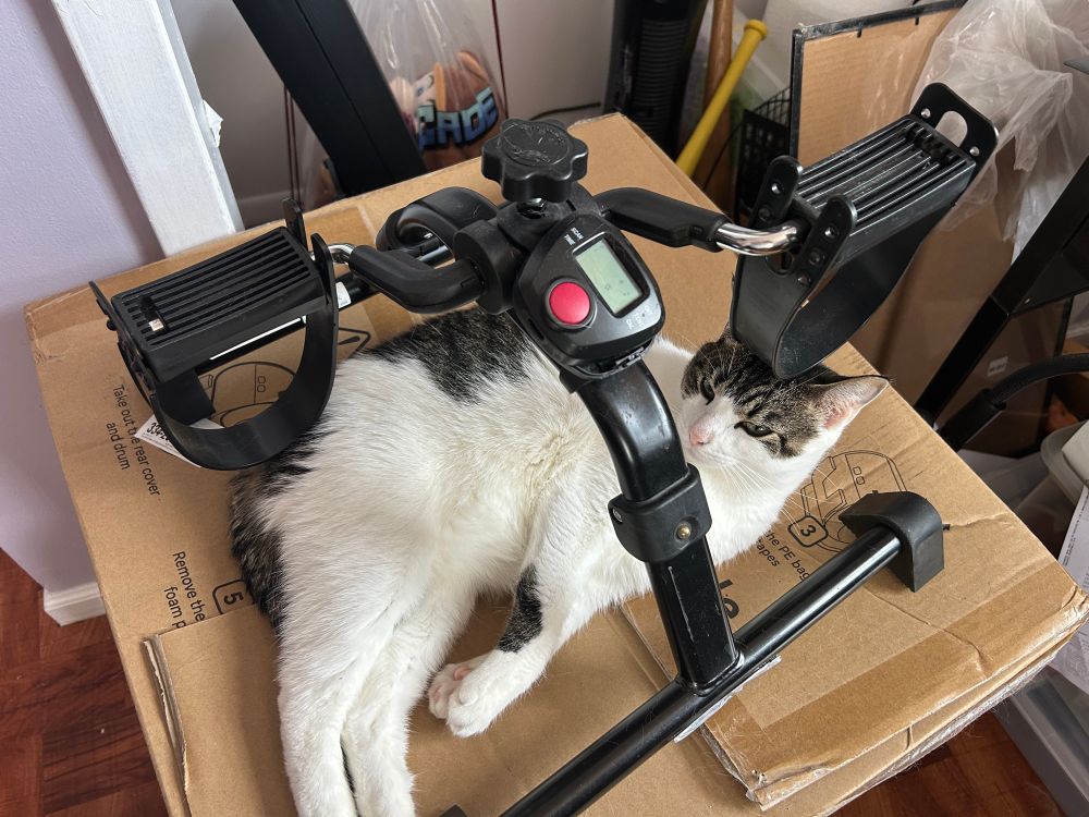 Haku (2-yr-old patchy brown tabby) lays on a cardboard box with a stationary pedal machine hovering over her. A part of one of the pedals either hovers right over or rests on top of her head as her eyes are half-closed in contentment.
