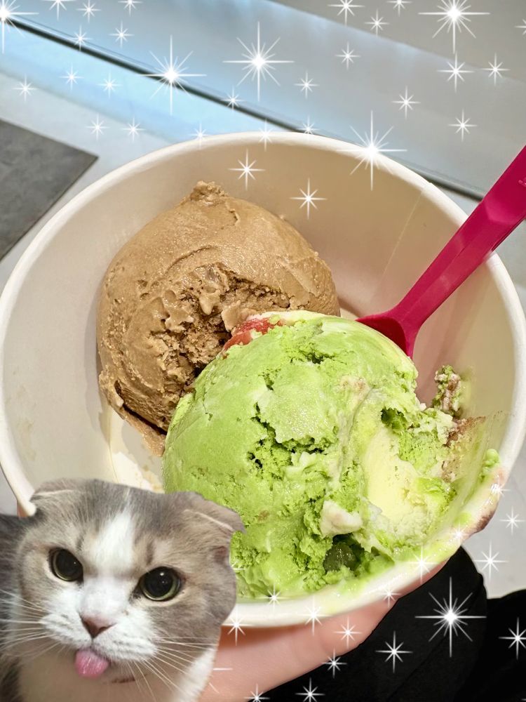 サーティワンのアイス
手前:抹茶あんみつ
奥:ほうじ茶