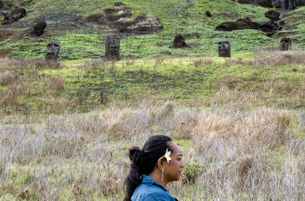 Famed Polynesian island did not succumb to ‘ecological suicide,’ new evidence reveals