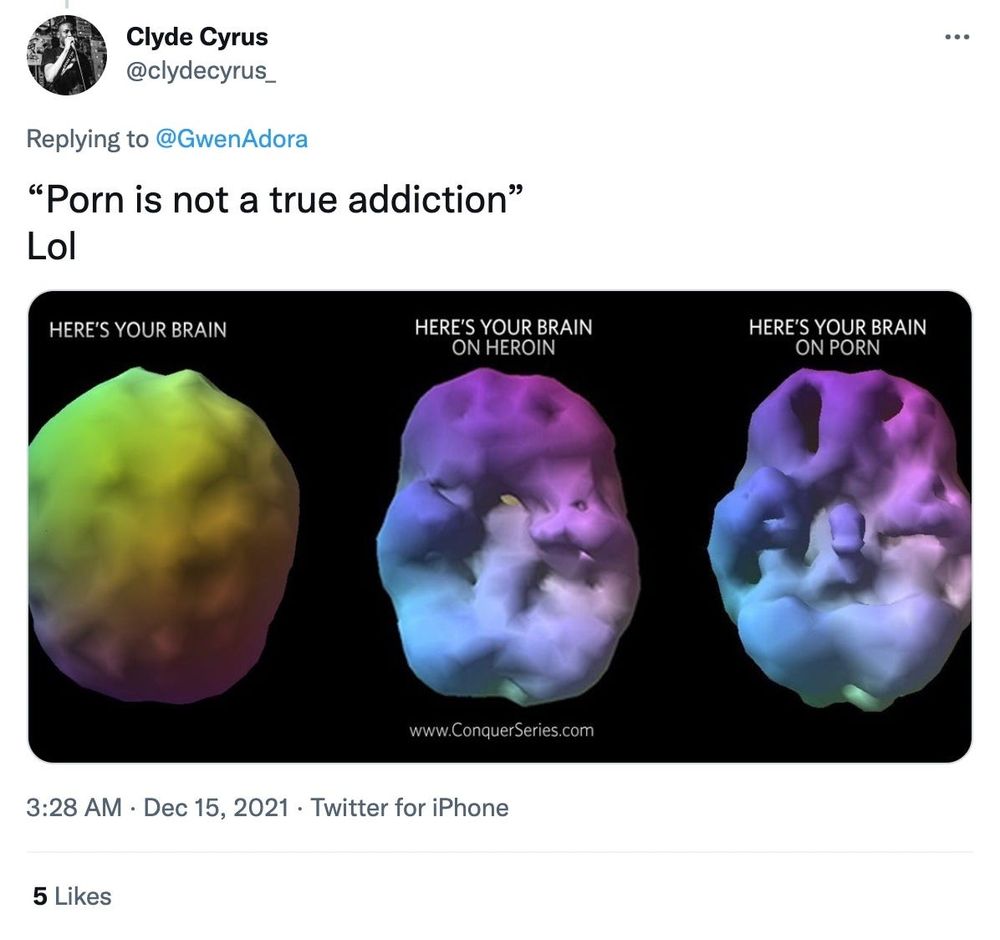 Lucy Luciid: FYI, the brain scans of porn addicts is a fabricated  image taken out of context. In summary, this image has been widely  circulated as evidence of pornography addiction. It appears
