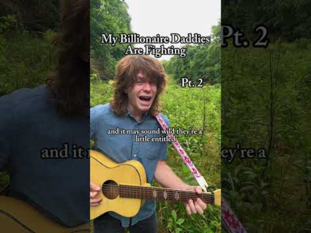 Folk Singer Breaks Down Billionaire Feud Pt. 2 #folk #singersongwriter #elonmusk #trump