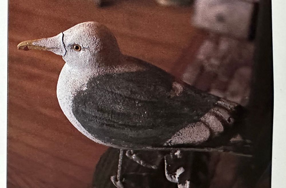 Seagull statue photographed inside Katharine Hepburn’s cabin