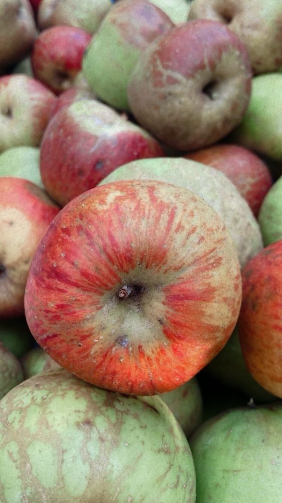 Photo de pommes en plan rapproché.