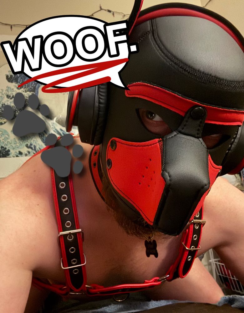 Silly pup sporting red and black gear beside a word bubble displaying bold letters “WOOF.” Paw prints stamped on left side of the image.
