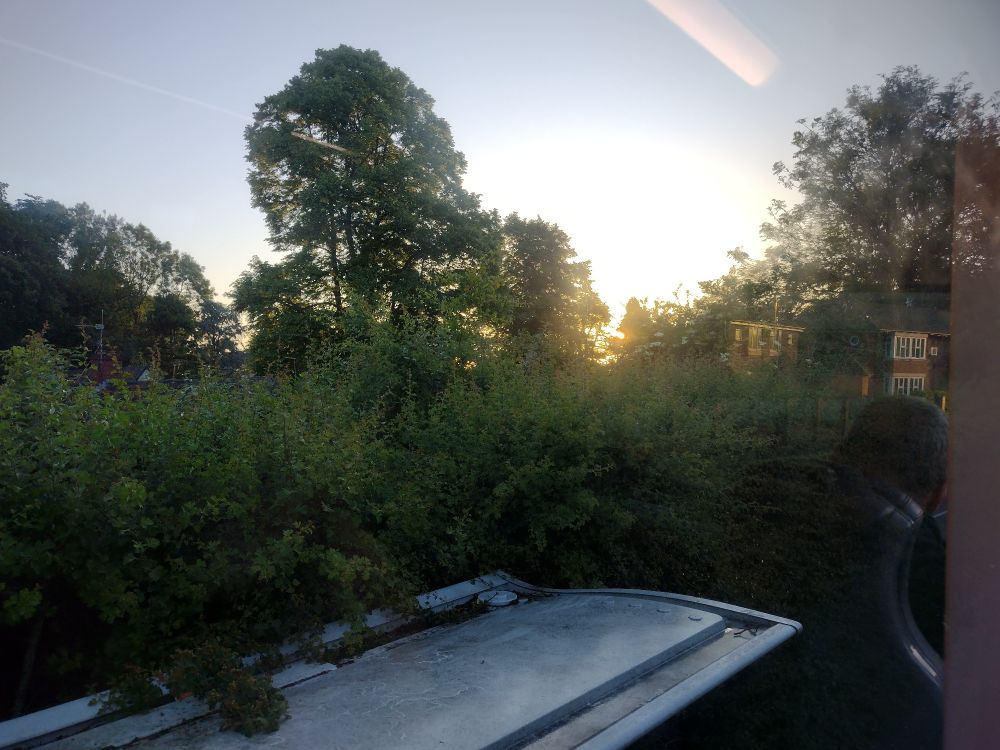 A shaky picture of a sunrise through a tree from a bus window.