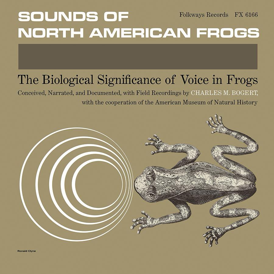 the lp cover for smithsonian folkways’ “sounds of north american frogs”