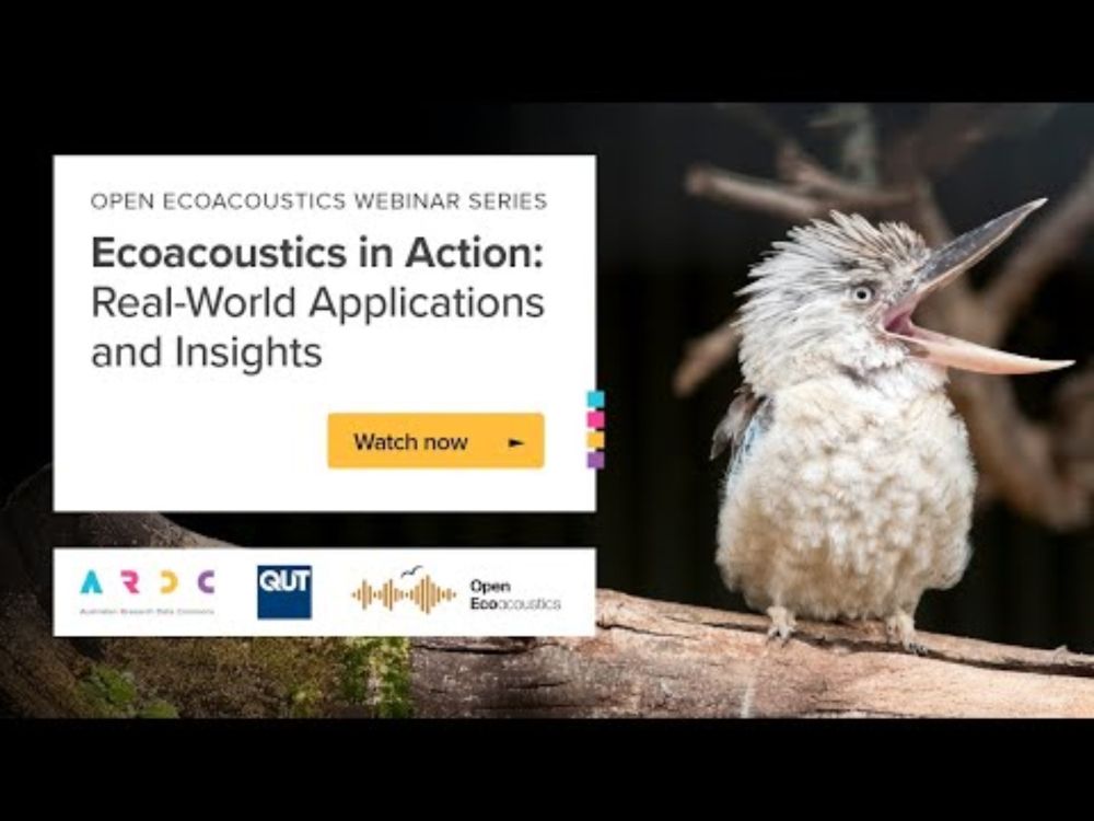 Ecoacoustics in Action: Real-World Applications and Insights - Open Ecoacoustics Webinar Series - 1