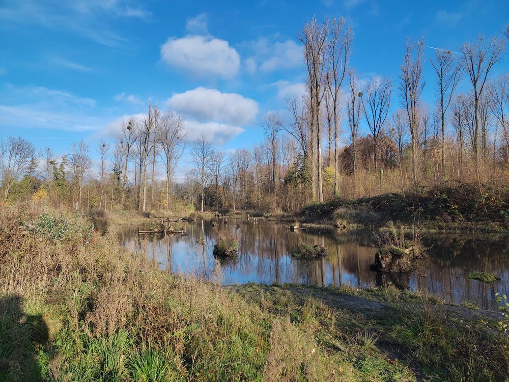Wolken in blauem Himmel, viel Wasser im Fluss, die Bäume ohne Blätter, die Pflanzen braun, nur noch wenig ist grün.