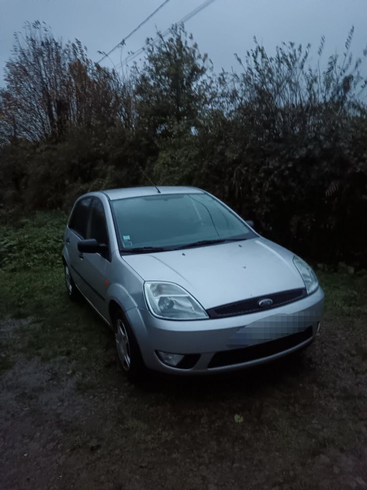 Photo d'une voiture, Ford fiesta grise dans un jardin.