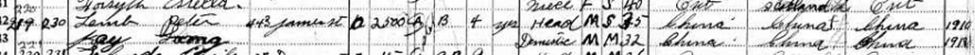 Chinese Canadian Peter Lamb [sic], residing at 443 James St, Wallaceburg, ON, in the 1931 Census of Canada.