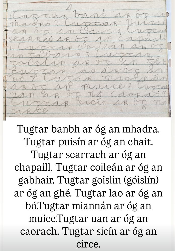 Tugtar banbh ar óg an mhadra. Tugtar puisín ar óg an chait. Tugtar searrach ar óg an chapaill. Tugtar coileán ar óg an gabhair. Tugtar goislin (góislín) ar óg an ghé. Tugtar lao ar óg an bó.Tugtar miannán ar óg an muice.Tugtar uan ar óg an caorach. Tugtar sicín ar óg an circe.