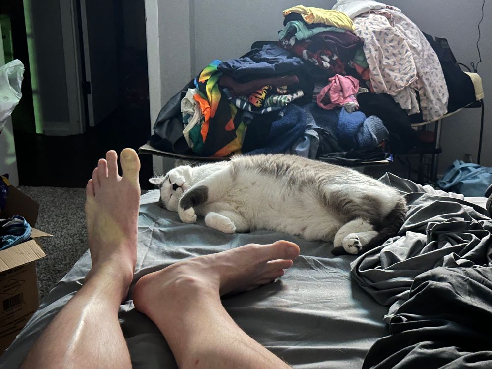 A grey and white cat sleeping at the edge of a bed