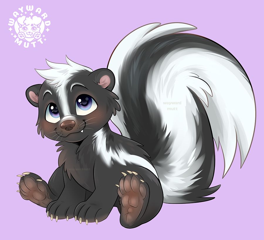 A little skunk looking up with a sweet smiling expression.