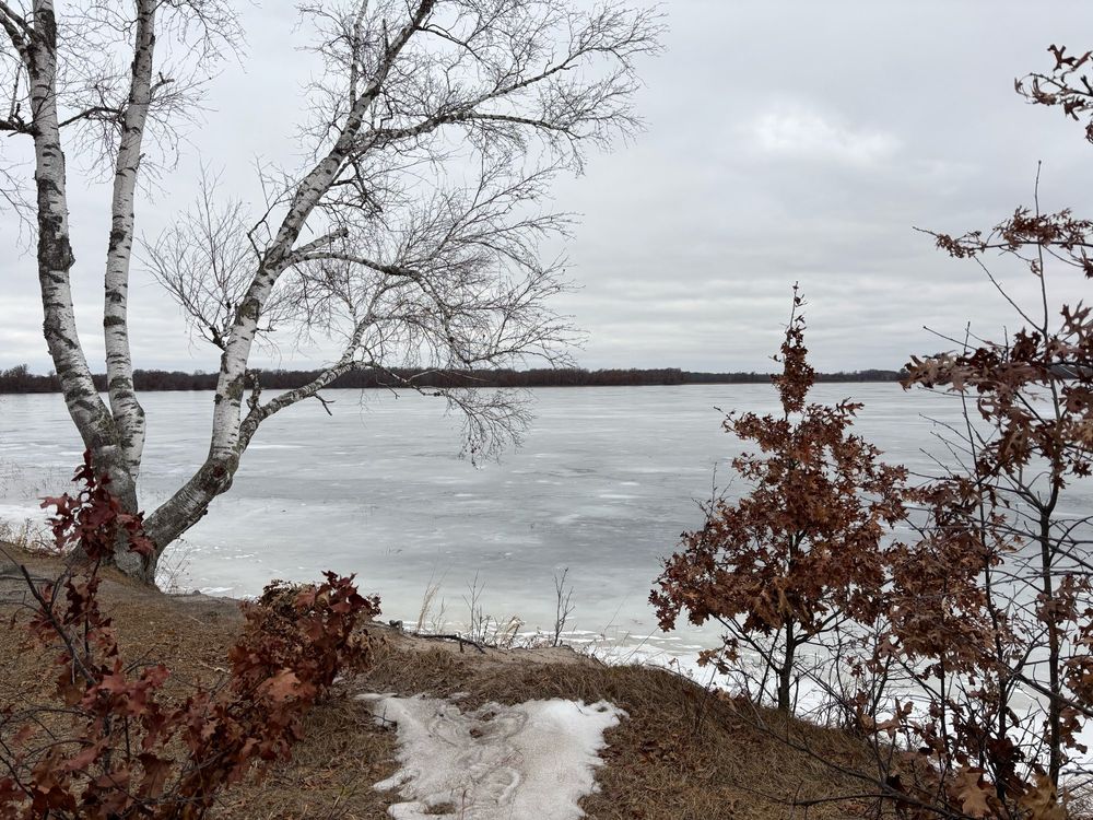 Frozen lake with trees and a grey sky.
