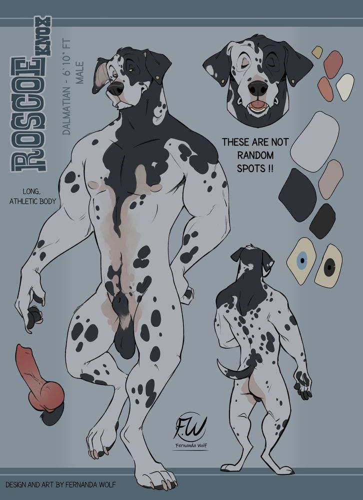 A male dalmatian reference sheet with blotches more so than spots. The largest extends around once side of his face, around his neck and much over his shoulder and back. 