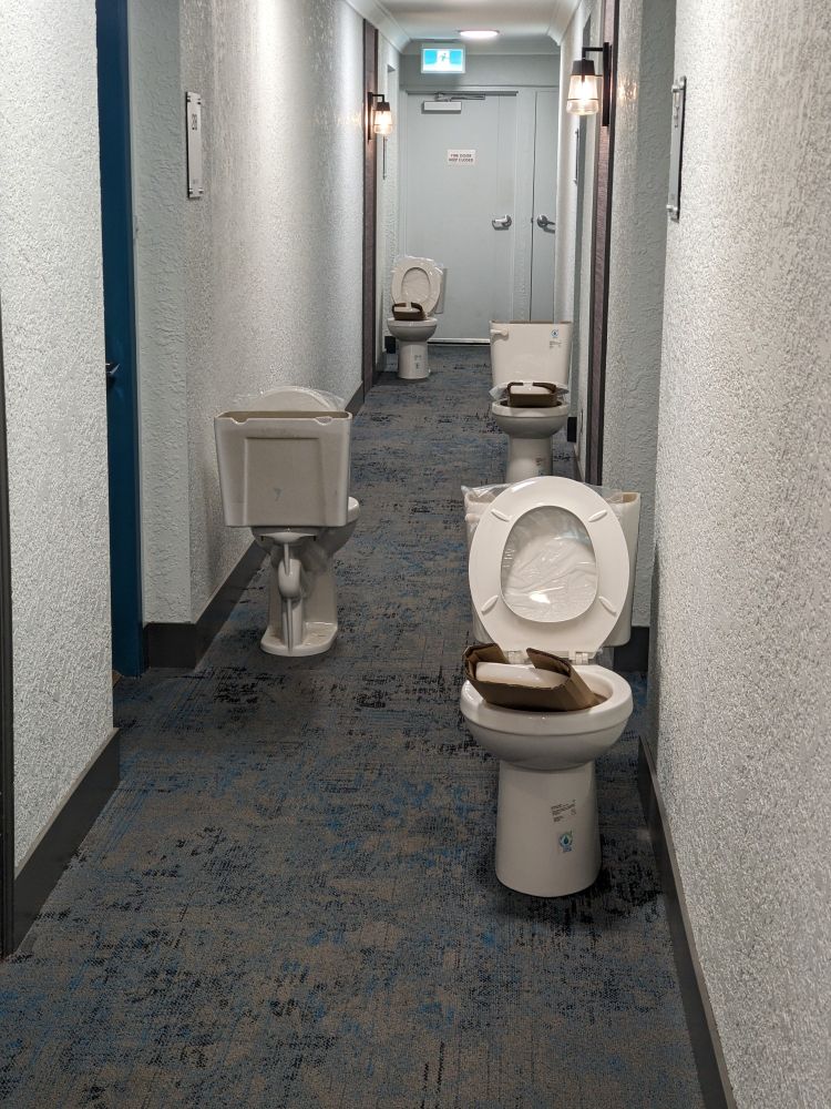 An apartment hallway with four toilets, each in front of a different door.