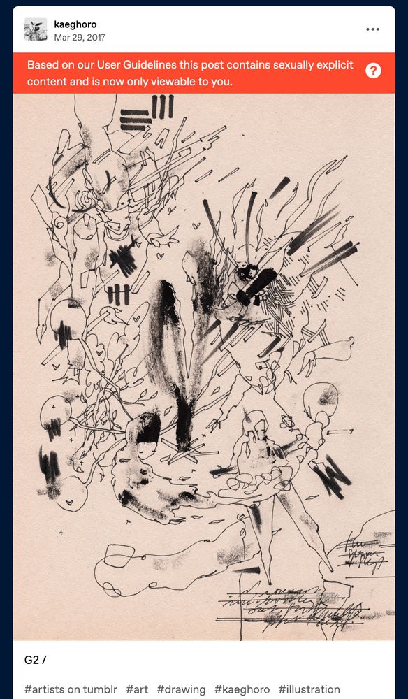flagged drawing by kaeghoro on tumblr which cannot be appealed