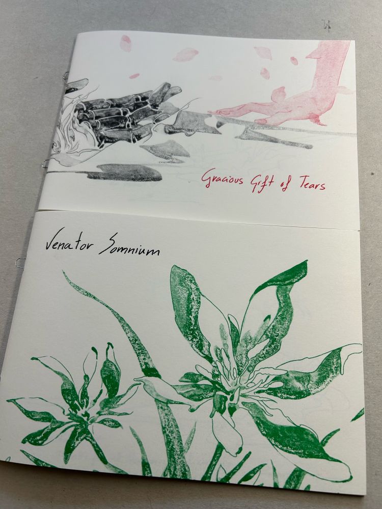 Bloodborne & Sekiro artbook/zines by Emma Rios