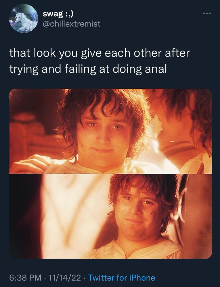 Post Mt Doom Sam and Frodo looking at each other.

swag :,)
@chillextremist
that look you give each other after trying and failing at doing anal
6:38 PM • 11/14/22 • Twitter for iPhone