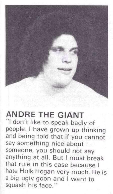 Picture of Andre.

ANDRE THE GIANT
"I don't like to speak badly of people. | have grown up thinking and being told that if you cannot say something nice about someone, you should not say anything at all. But I must break that rule in this case because I hate Hulk Hogan very much. He is a big ugly goon and I want to squash his face.