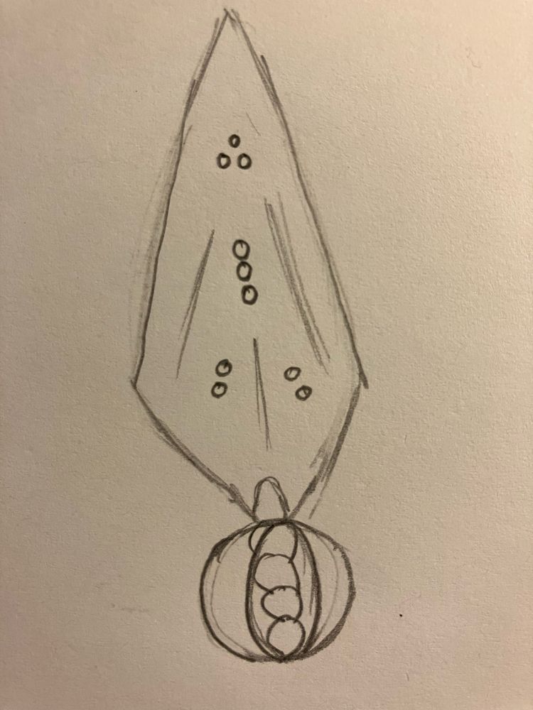 A thick, slightly rounded triangular blade that angles inward to the hilt. There are 4 groups of holes in the blade: a pyramid of three at the top, a vertical line of three in the middle, and two on each side of the center angled towards the outside at the thickest part where the blade angles inward. There are two rings that form the handguard, and the grip is made of a beaded texture.