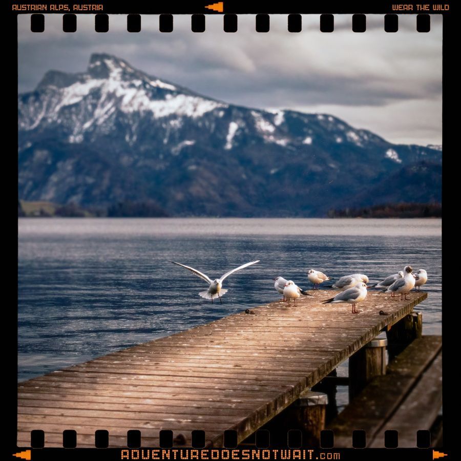picture