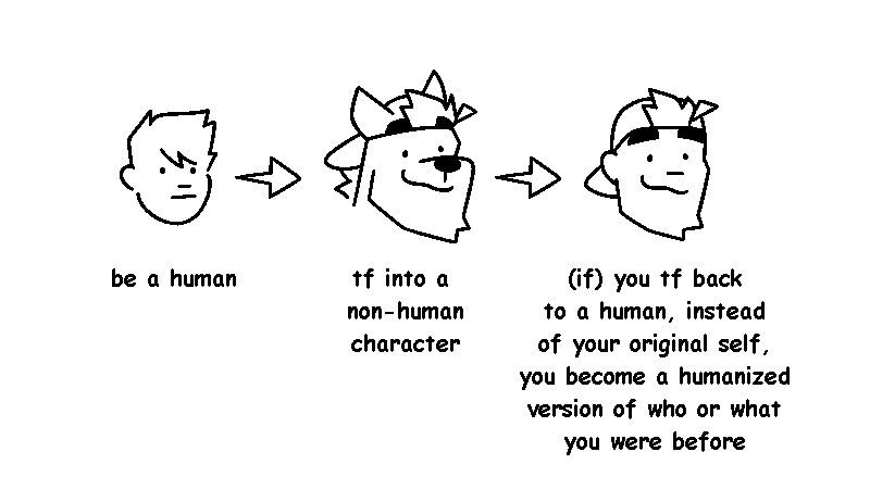 panel one says "be a human" and shows an average looking human with a neutral expression
panel two says "tf into a non-human character" and shows a silly-looking hyena with a backwards cap
panel three says "(if) you tf back to a human, instead of your original self, you become a humanized version of who or what you were before" and shows a silly-looking human with a backwards cap, resembling the hyena more than the original self