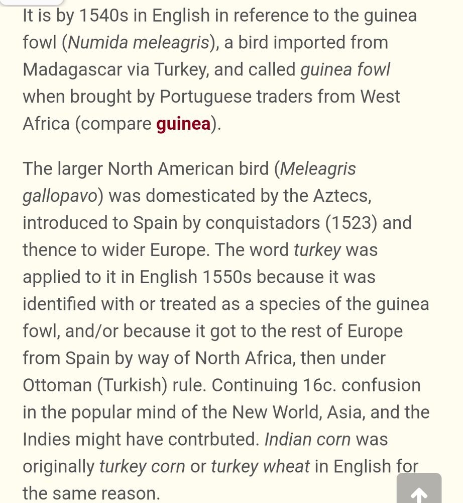Screenshot from etymonline describing etymology, reading:

Iis by 1540s in English in reference to the guinea fowl (Numida meleagris), a bird imported from Madagascar via Turkey, and called guinea fowl when brought by Portuguese traders from West Africa (compare guinea).


The larger North American bird (Meleagris gallopavo) was domesticated by the Aztecs, introduced to Spain by conquistadors (1523) and thence to wider Europe. The word turkey was applied to it in English 1550s because it was identified with or treated as a species of the guinea fowl, and/or because it got to the rest of Europe from Spain by way of North Africa, then under Ottoman (Turkish) rule. Continuing 16c. confusion in the popular mind of the New World, Asia, and the Indies might have contrbuted. Indian corn was originally turkey corn or turkey wheat in English for the same reason.
