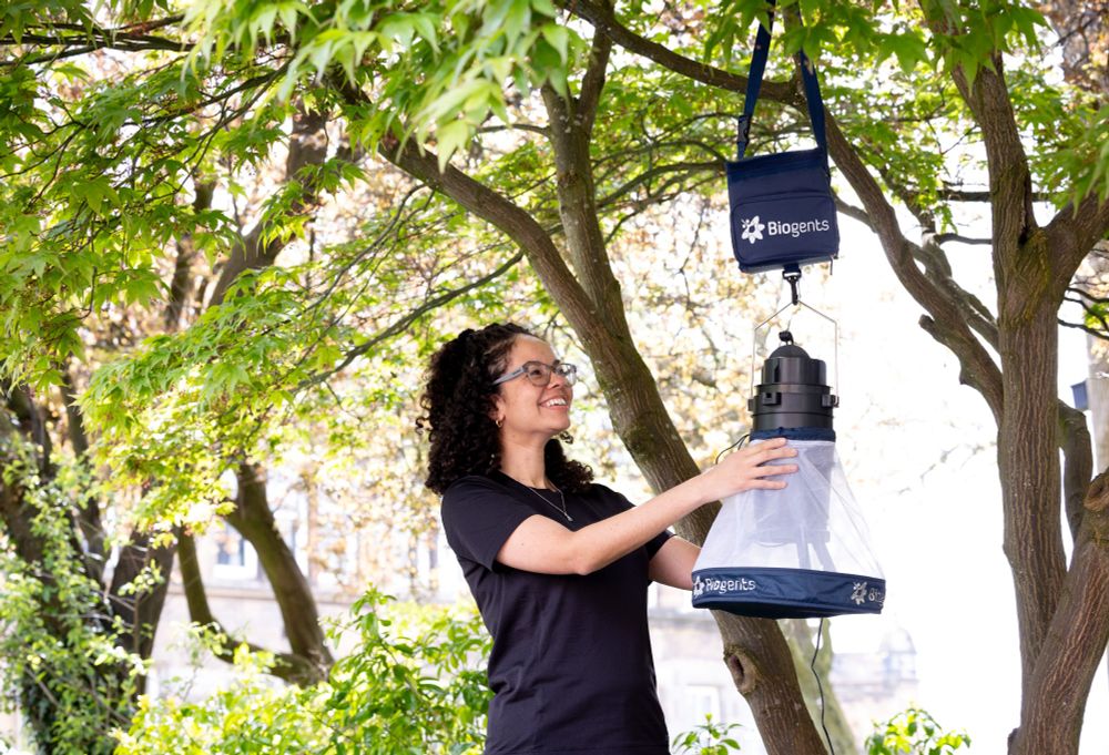 Photo shows Dr Georgia Kirby  (from waist up) standing outside near a tree, hanging a Biogents mosquito trap from a tree branch.  The Biogents mosquito trap looks like an inverted funnel, with the wider part at the bottom, and a narrow end at the top.  The top is black plastic ring with an opening.  There is a source of carbon dioxide in the trap that draws mosquitoes into the opening.  They then get trapped in the funnel, which is made of netting material supported by a wire frame.  Georgia is wearing a black tshirt, has shoulder length dark hair and is wearing glasses.  