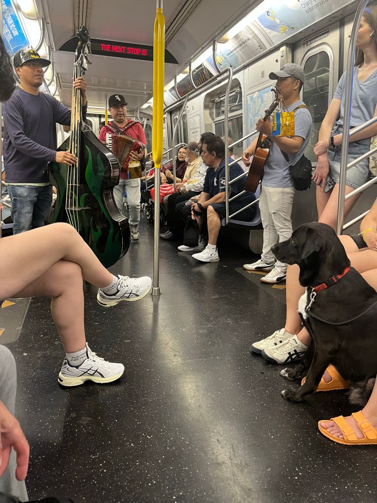 A subway car. A mariachi band featuring a guitarist, accordionist and upright bassist plays for the passengers. A large black dog is seated and listening to the music. He is being a very good dog. 