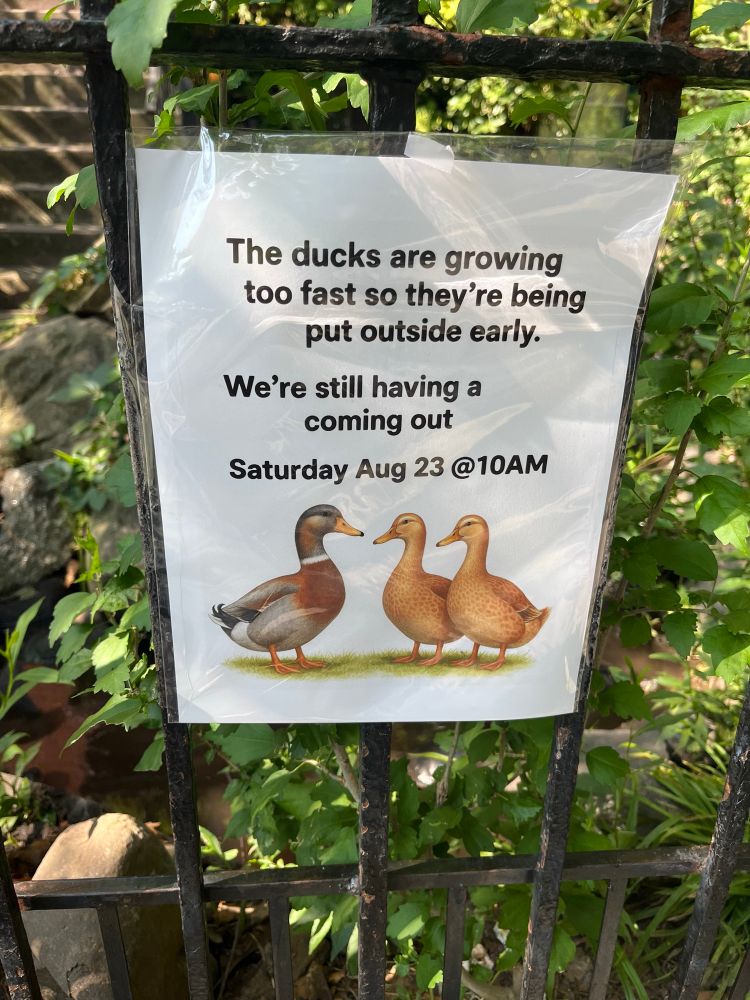 A sign on a wrought iron fence with clip art of three ducks, “The ducks are growing too fast so they're being put outside early.
We're still having a coming out 
saturday August 23 @ 10am”