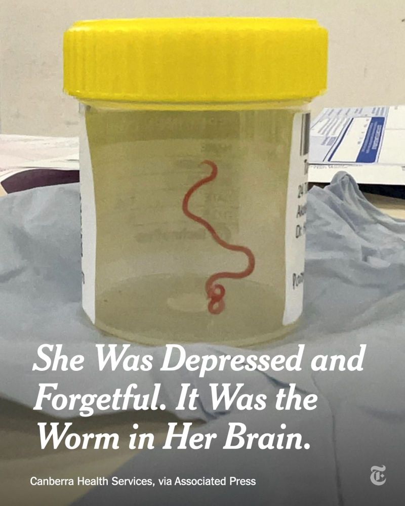 NYT headline: “She was depressed and forgetful. It was the worm in her brain.” 

Photo of a long red worm in a specimen container.