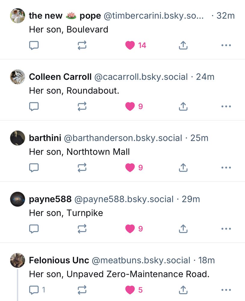 A series of replies:

Her son, Boulevard

Her son, Roundabout.

Her son, Northtown Mall

Her son, Turnpike

Her son, Unpaved Zero-Maintenance Road.