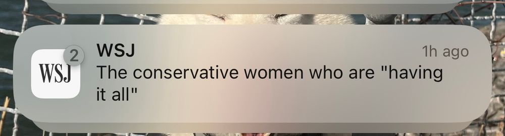 WSJ push alert: The conservative women who are "having it all” 