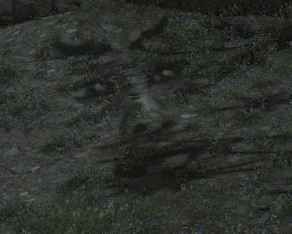 sketch of a pareidolia face over some grass