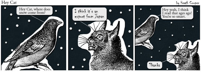 EXT Snowing, Cat and Bird are talking.
Bird: Hey Cat, where does snow come from?
Cat: I think it's an export from Japan
Bird: Hey yeah, I think I read that ages ago! You're so smart.
Cat: Thanks