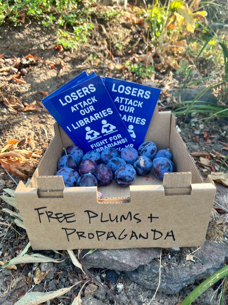 Cardboard box on a rock in a garden that says free plums & propaganda. Inside the box are French plums and postcards by Marc Fischer that say Losers Attack Our Libraries, Fight for Librarians