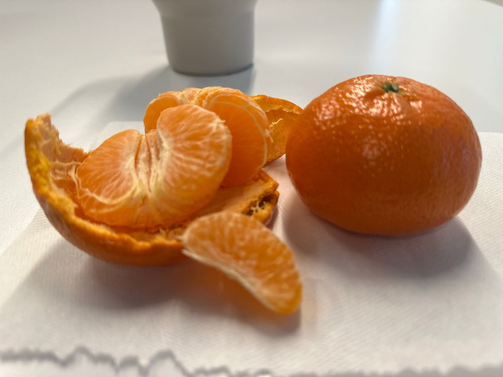 Two (less than four) small oranges, the left one is unpeeled, sitting on top a paper towel