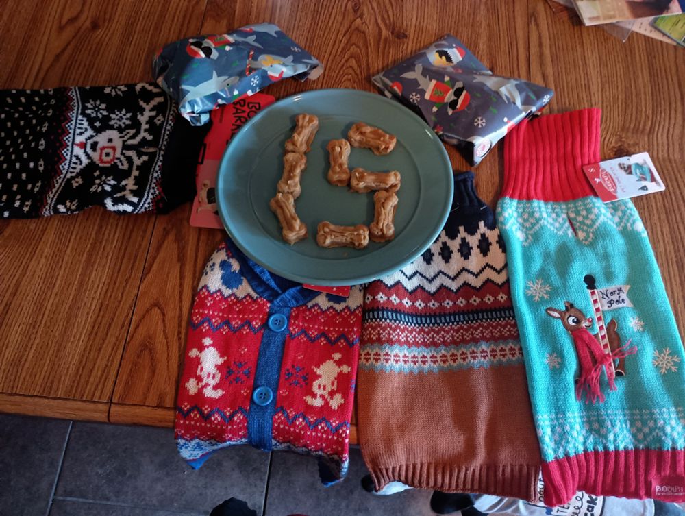 A table with 4 dog sweaters, two wrapped squeaky toys, and a teal plate with dog biscuits that spell out 15