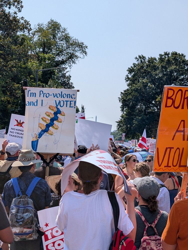 Protest sign of a guy with a bandoleer of subs that says "I'm pro-volone and I vote"