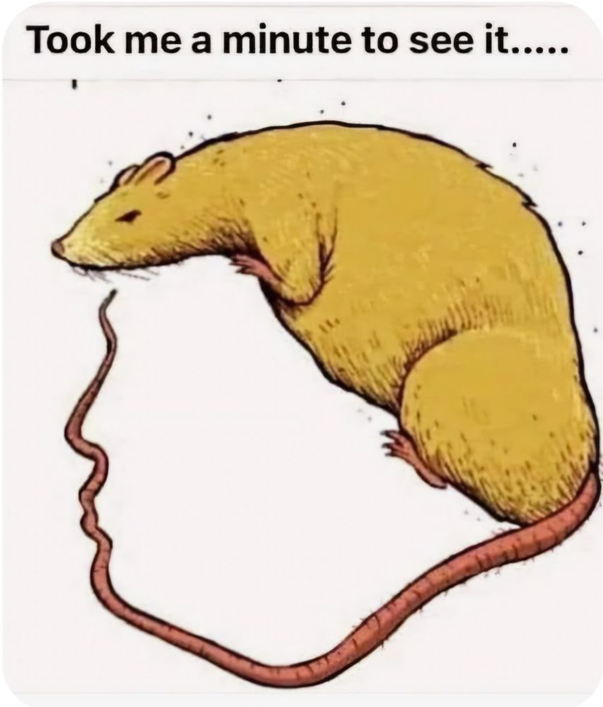 Comment image