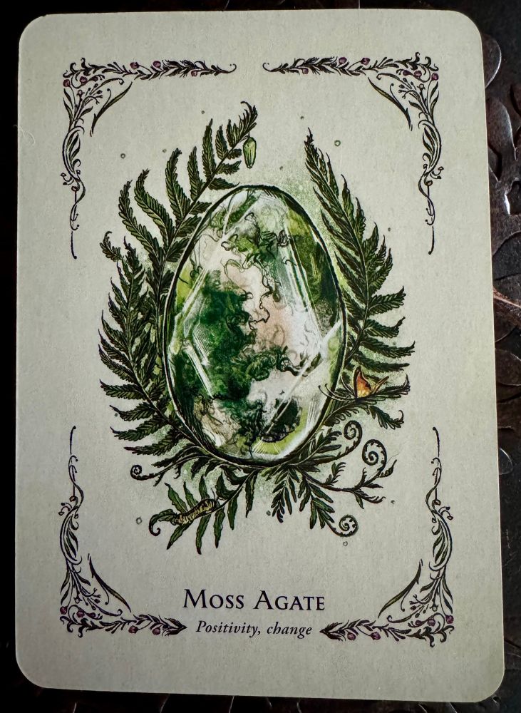 The card depicts a moss agate stone nestled in ferns. The bottom of the card reads “Positivity, Change.” The reflection that comes with this card is, “Is there an upcoming change that you have been avoiding that you need to make peace with?”