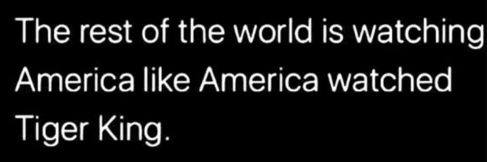Embedded text reads: The rest of the world is watching America like America watched Tiger King. 