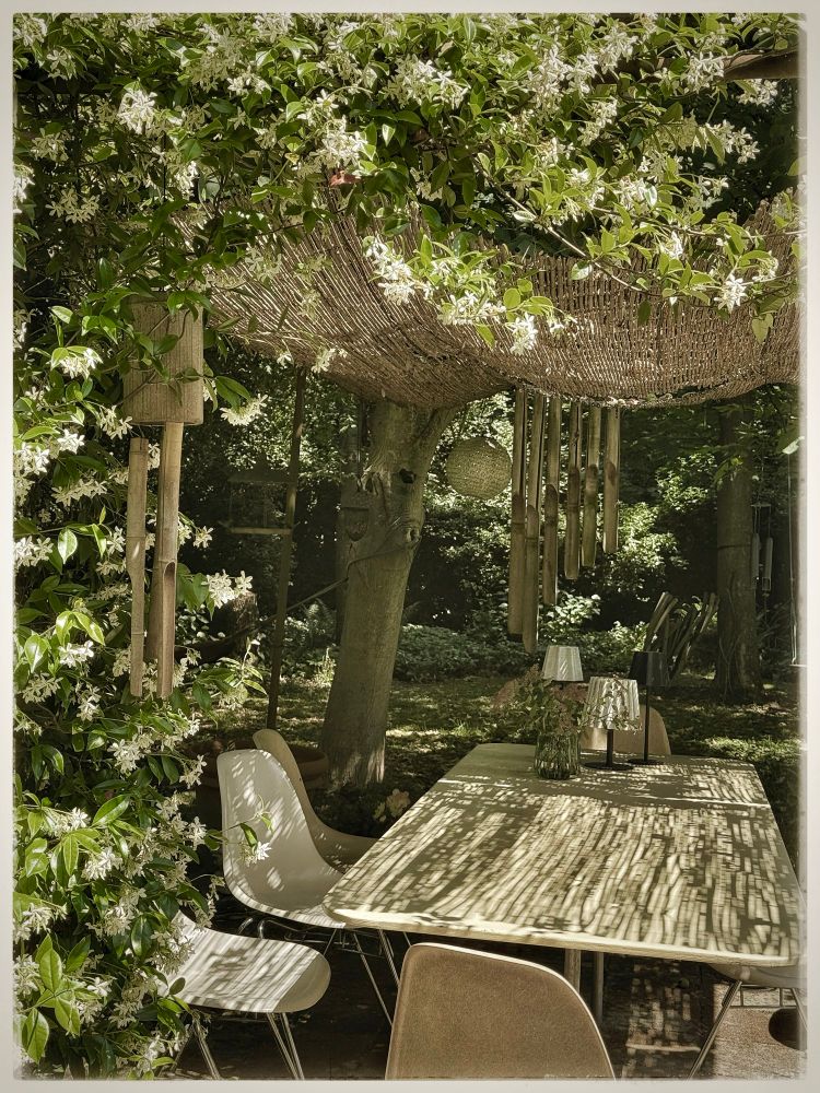 a table beneath jasmine and time,
woven shade casting secrets in stripes.
wind chimes speak in slow syllables,
while quiet chairs wait for stories
told over leaves and light.
