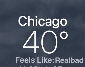 Shopped version of the same screenshot saying the temperature “Feels Like: Realbad”