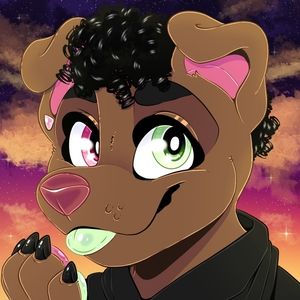 NewBorkCity - Twitch