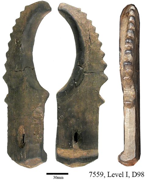 A wooden tool with a handle at one end and a curved shape at the other with wooden teeth carved into its edge.