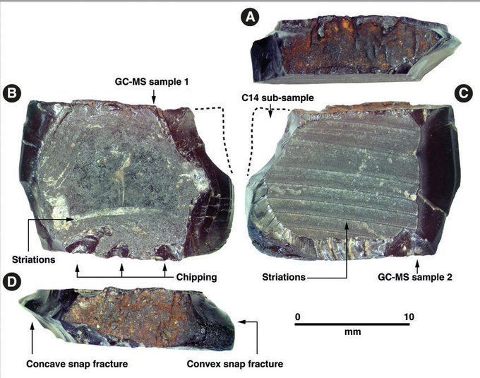 A dark-coloured, reflective piece of tree resin with striations suggesting working by humans.